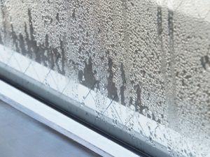透湿性に富んだ塗膜